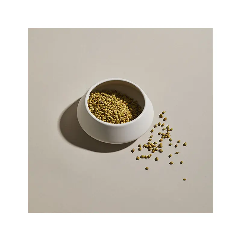 Coriander, Indian Seeds