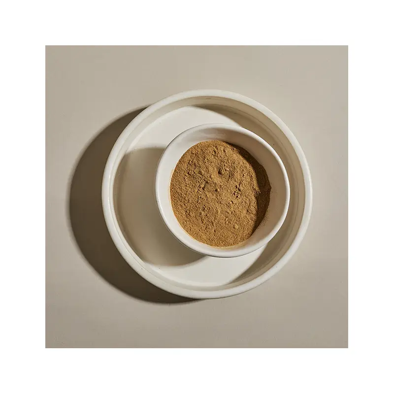 Mushrooms, Porcini Powder