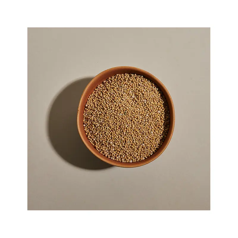 Mustard, Yellow Seed