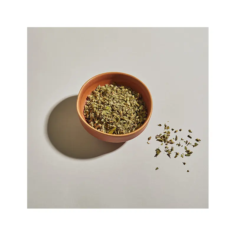 Oregano, Mexican Broken Leaf