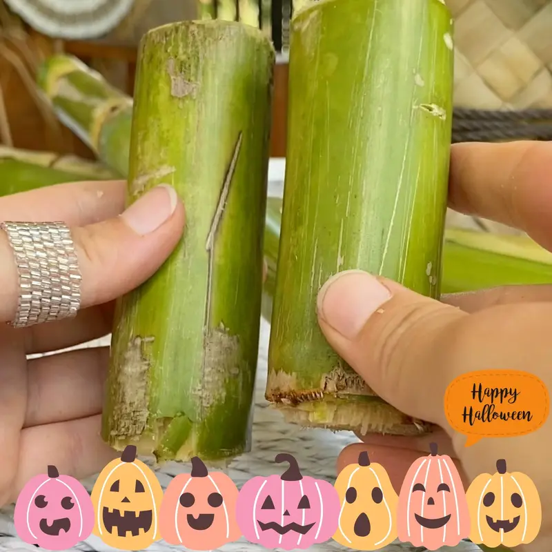 $35 FREE Sugar Cane Gift