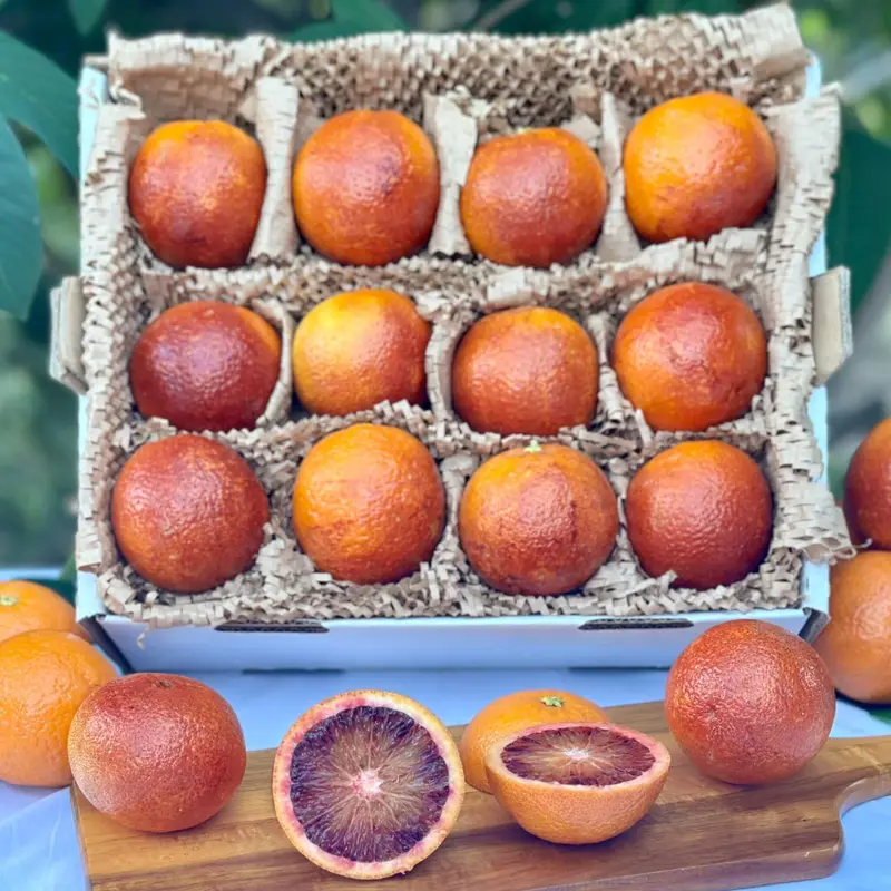 Blood Orange (Raspberry)