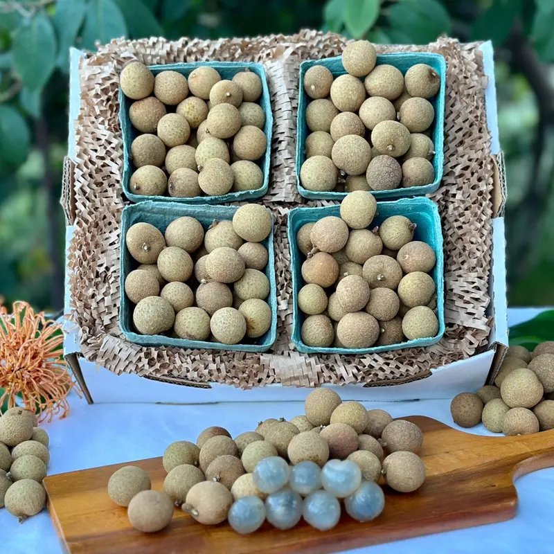 Longan Fruit (Dragon Eye)