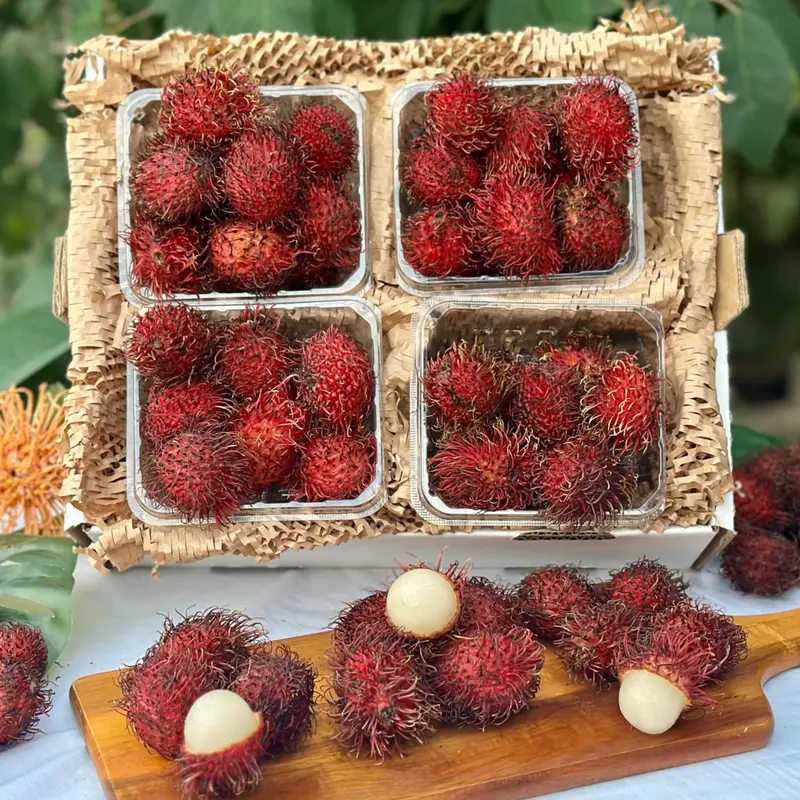 Rambutan