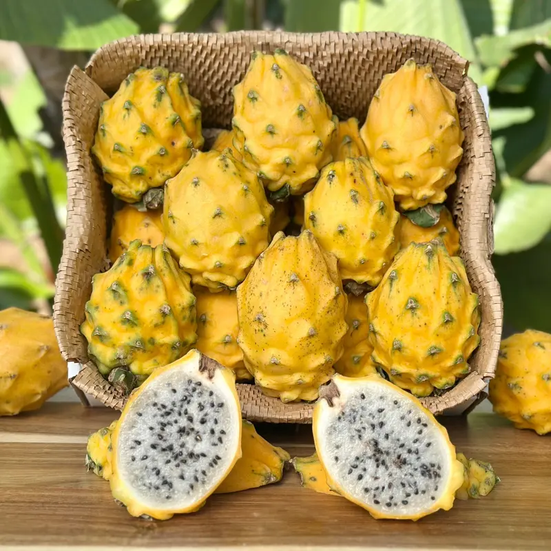Yellow Dragon Fruit (Pitaya)