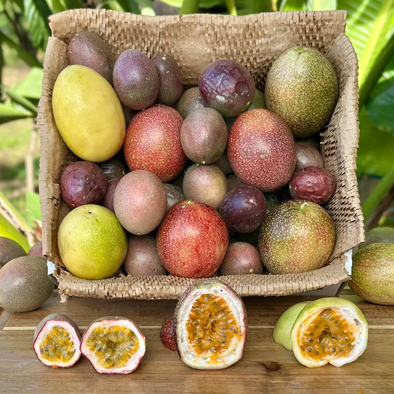 Passion Fruit (GHF Members Only)