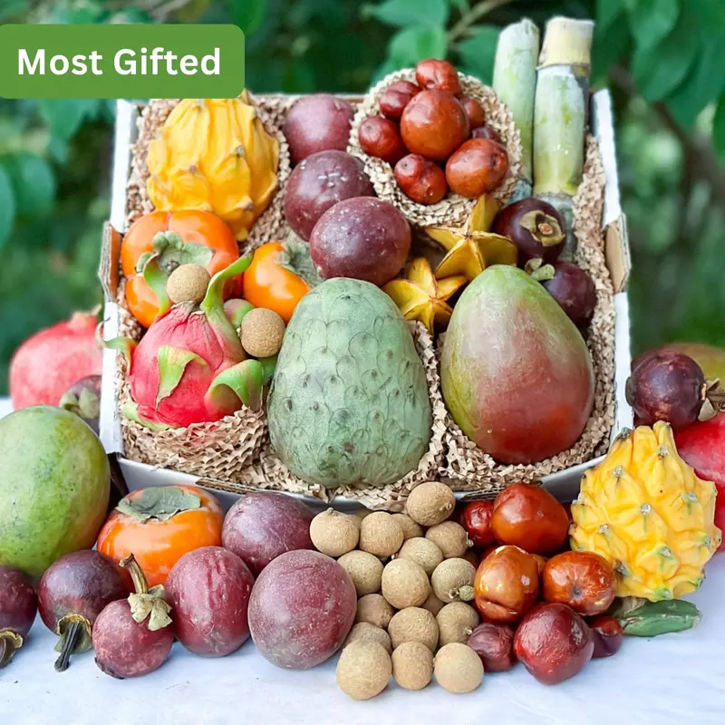 The Big Game Variety Box