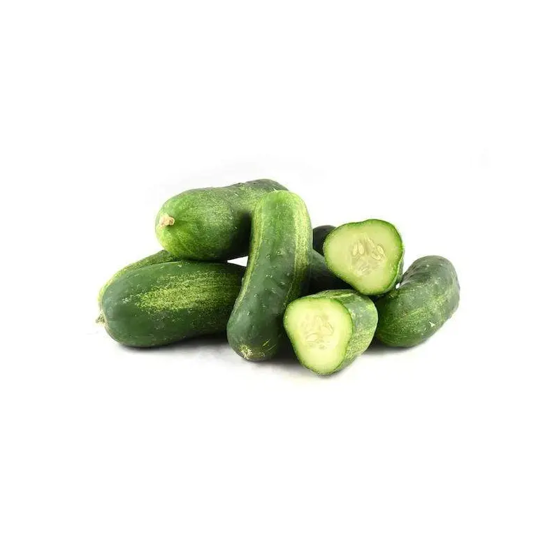 Pickling Cucumbers