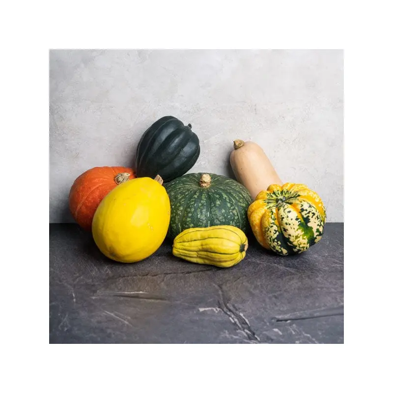 Winter Squash Sampler