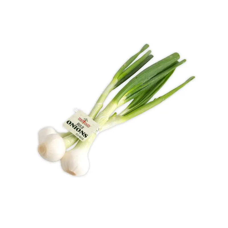 Bulb Green Onions