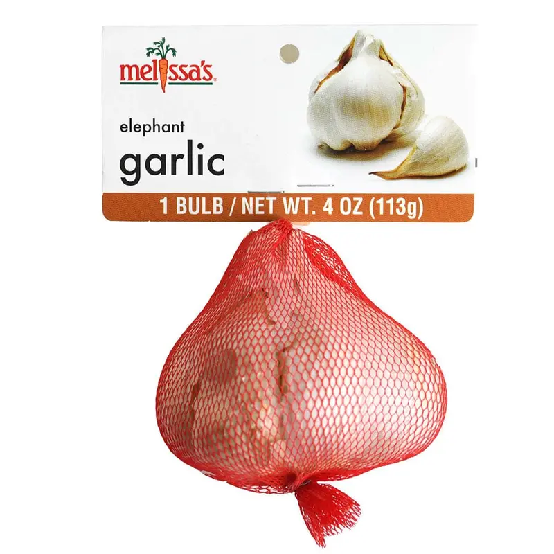 Elephant Garlic