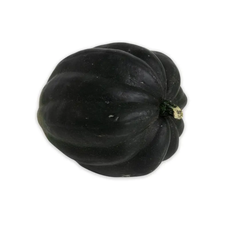 Acorn Squash