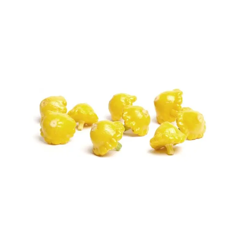 Baby Sunburst Squash