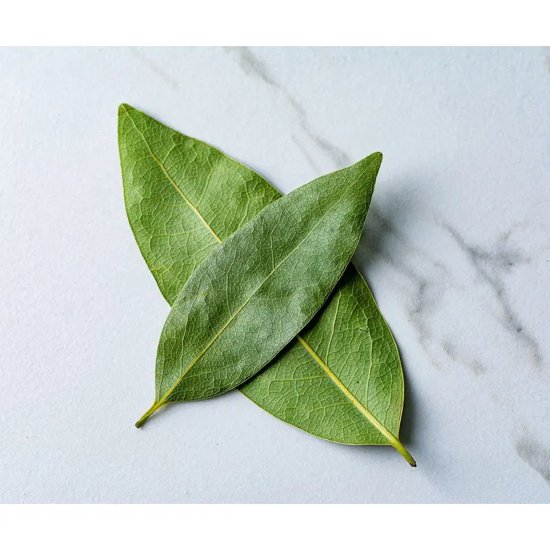 California Bay Leaves