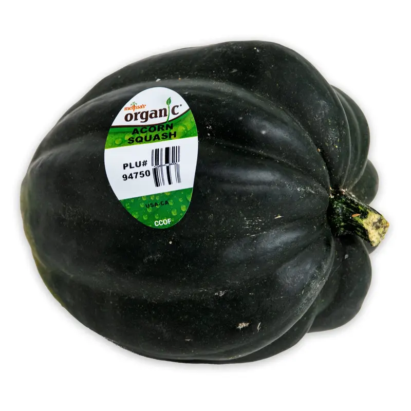 Organic Green Acorn Squash