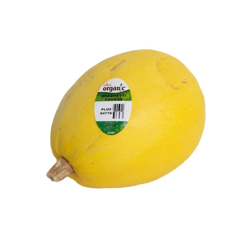 Organic Spaghetti Squash