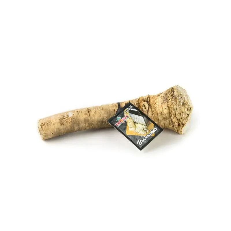 Horseradish Root