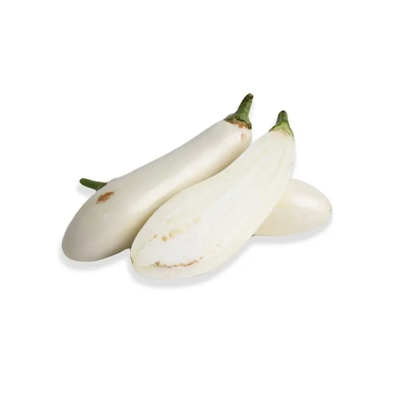 White Eggplant