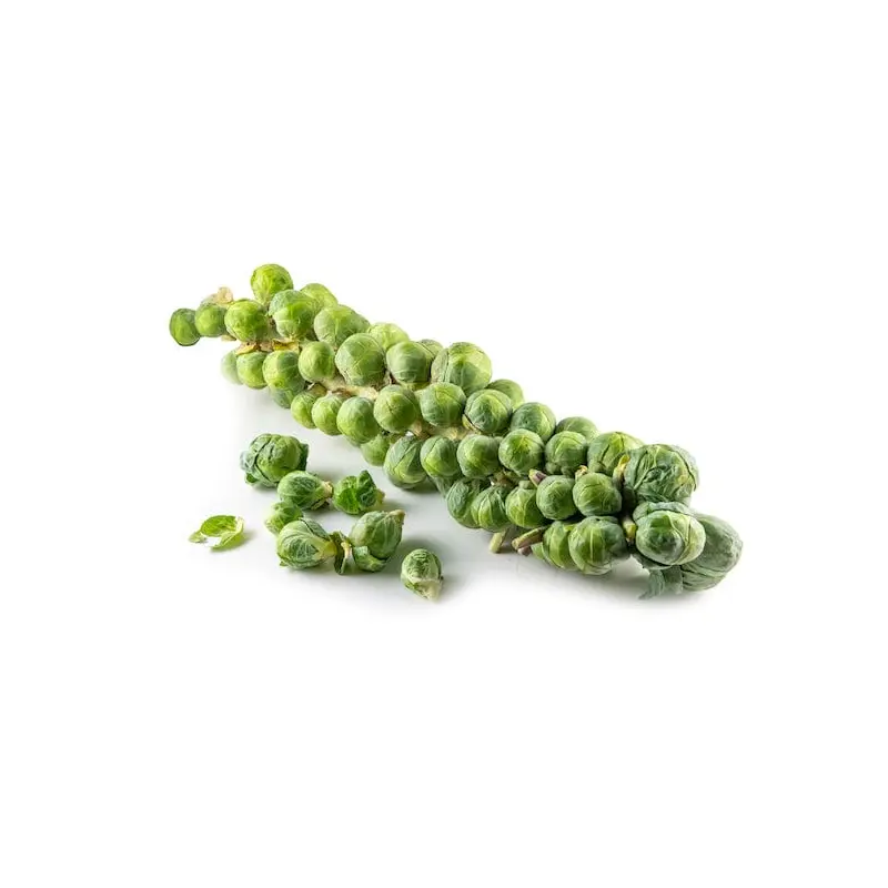 Brussels Sprout Stalks