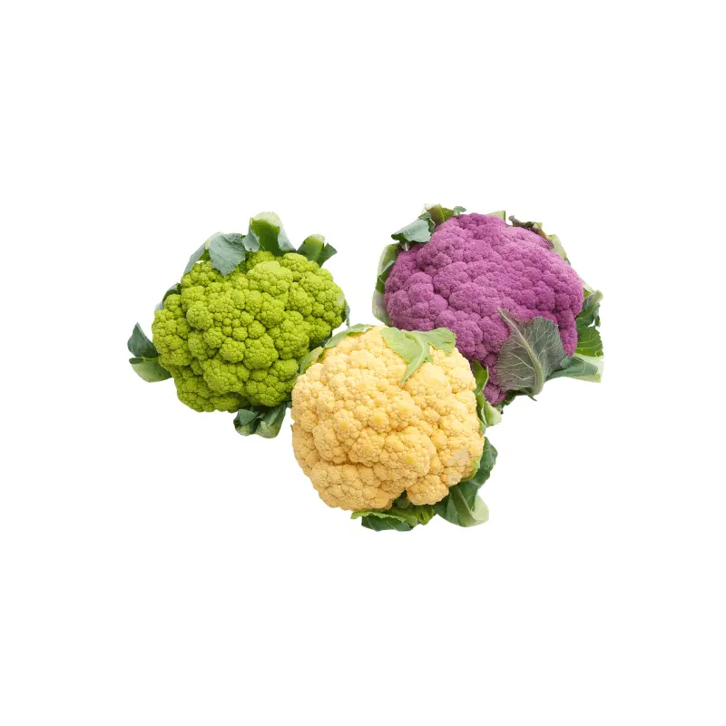 Colorful Cauliflower