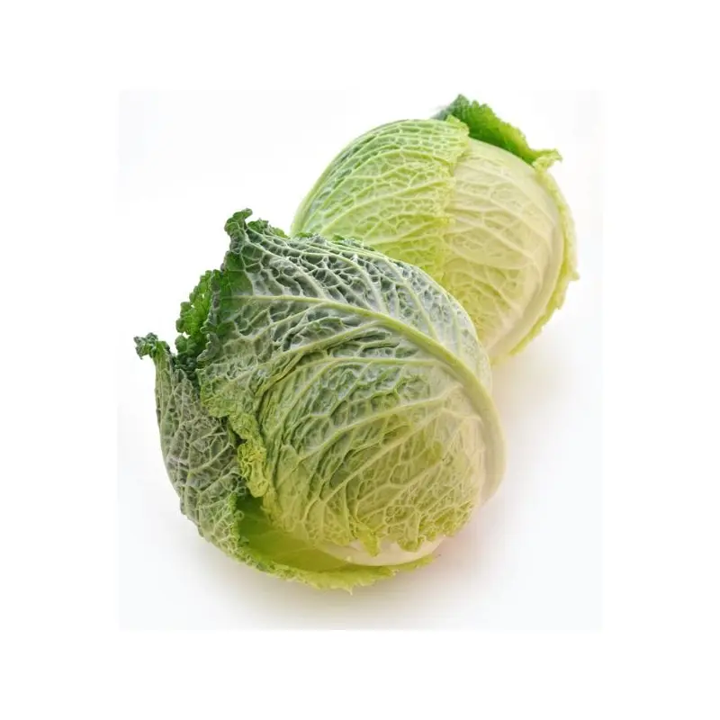 Savoy Cabbage