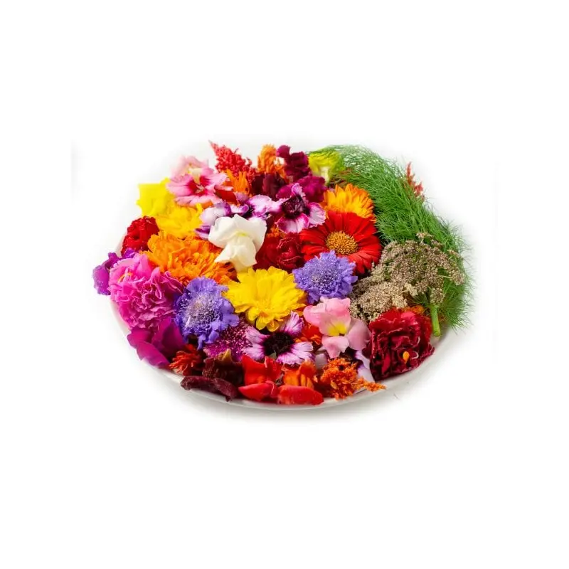 Edible Flowers