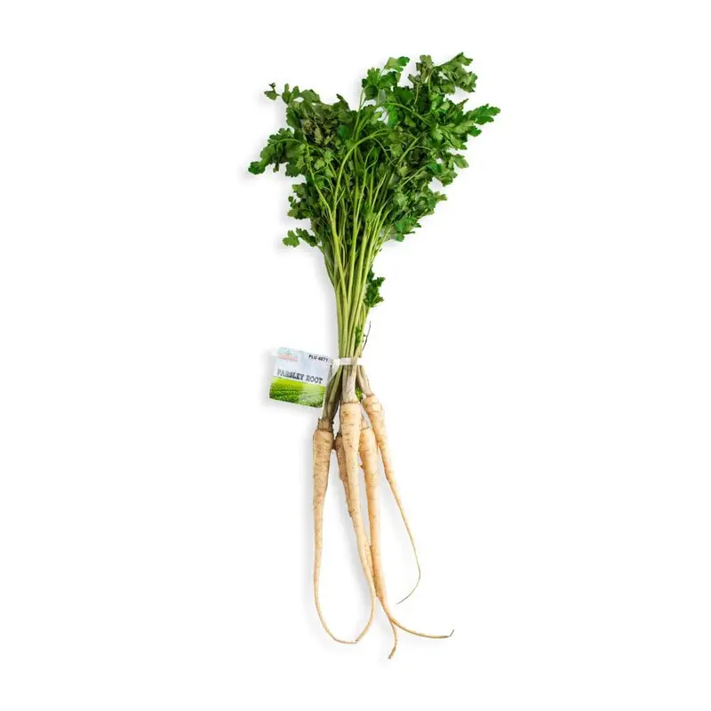 Parsley Root