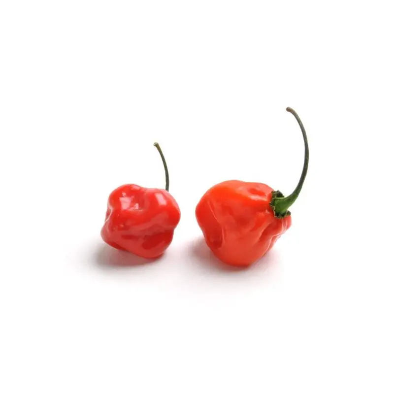 Red Habanero Peppers