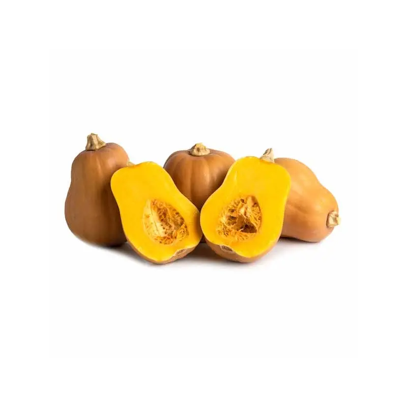 Organic Honeynut Squash