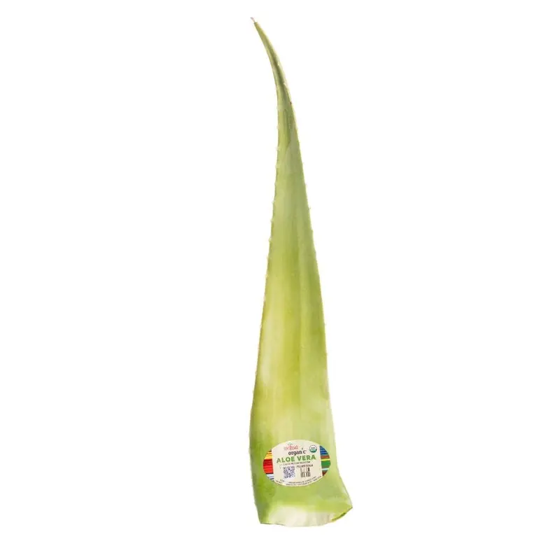 Organic Aloe Vera Leaves