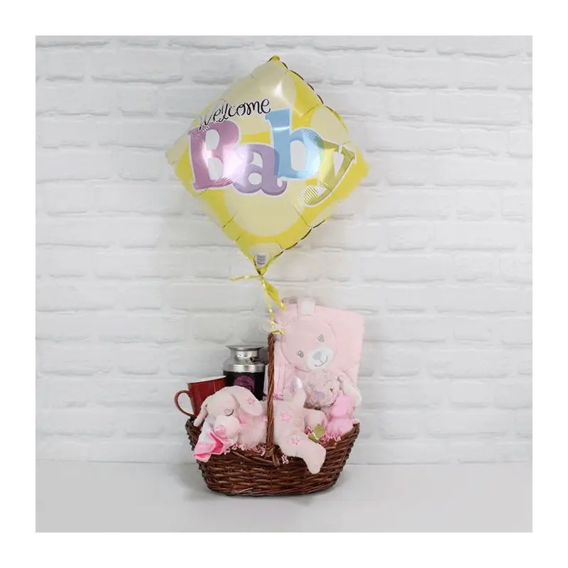 Welcome Newborn Baby Girl Gift Basket