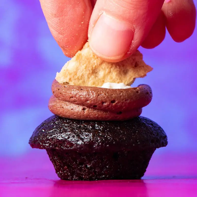 Fan Favorites 12-Pack