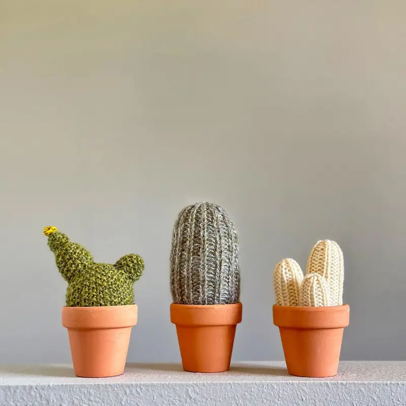 *Knit Kit - A Prickle of Cactus 2