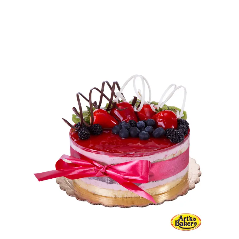 Raspberry and Chocolate Mousse Cake