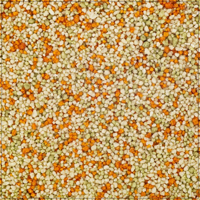 Tri Color Pasta Couscous