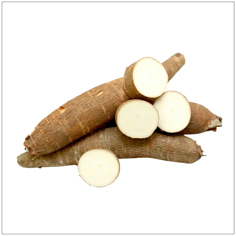 Yucca Root