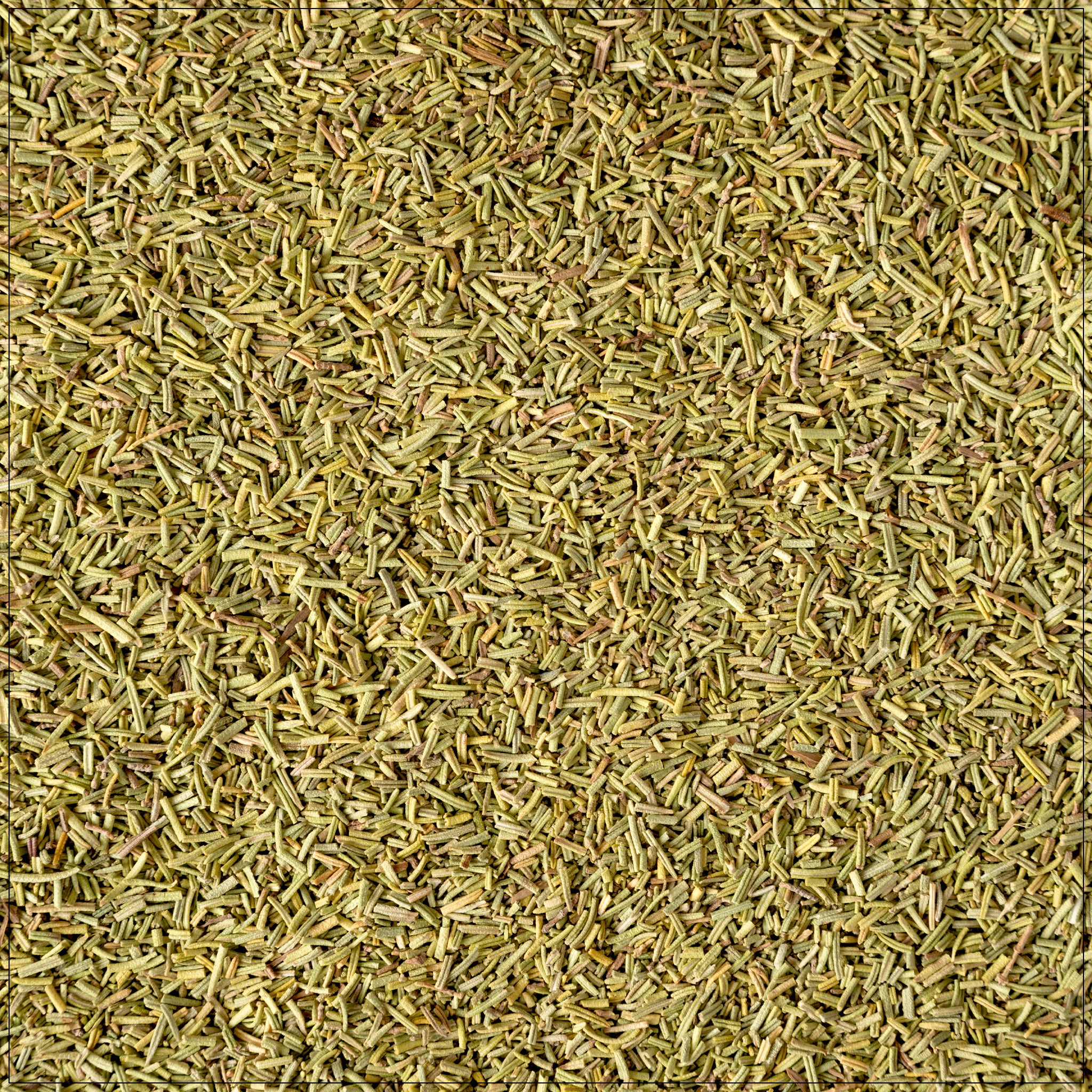 Dried Rosemary
