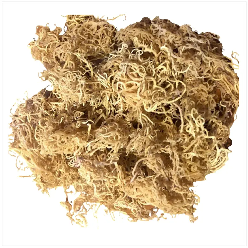 Sea Moss Gold Natural- Saint Lucia