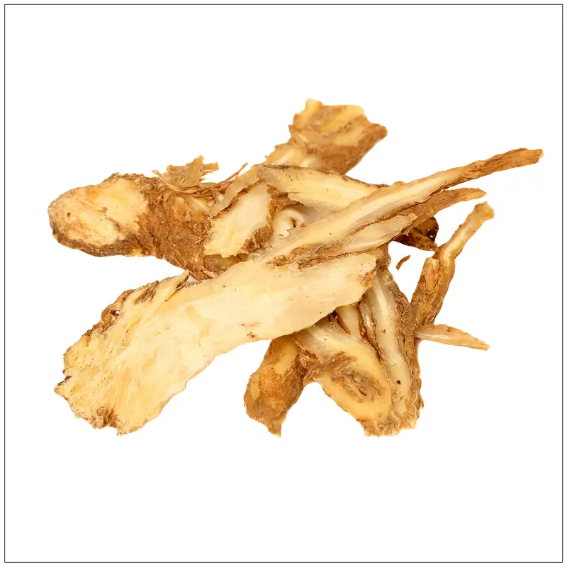 Angelica Root