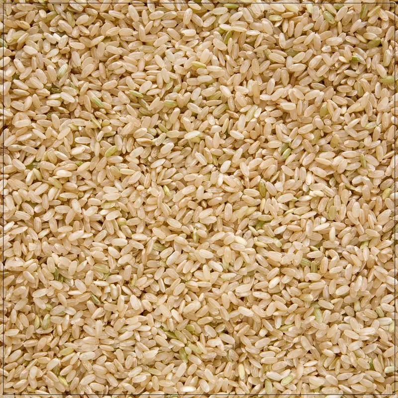 Brown Rice Medium Grain