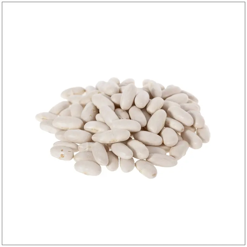 Dried cannellini beans
