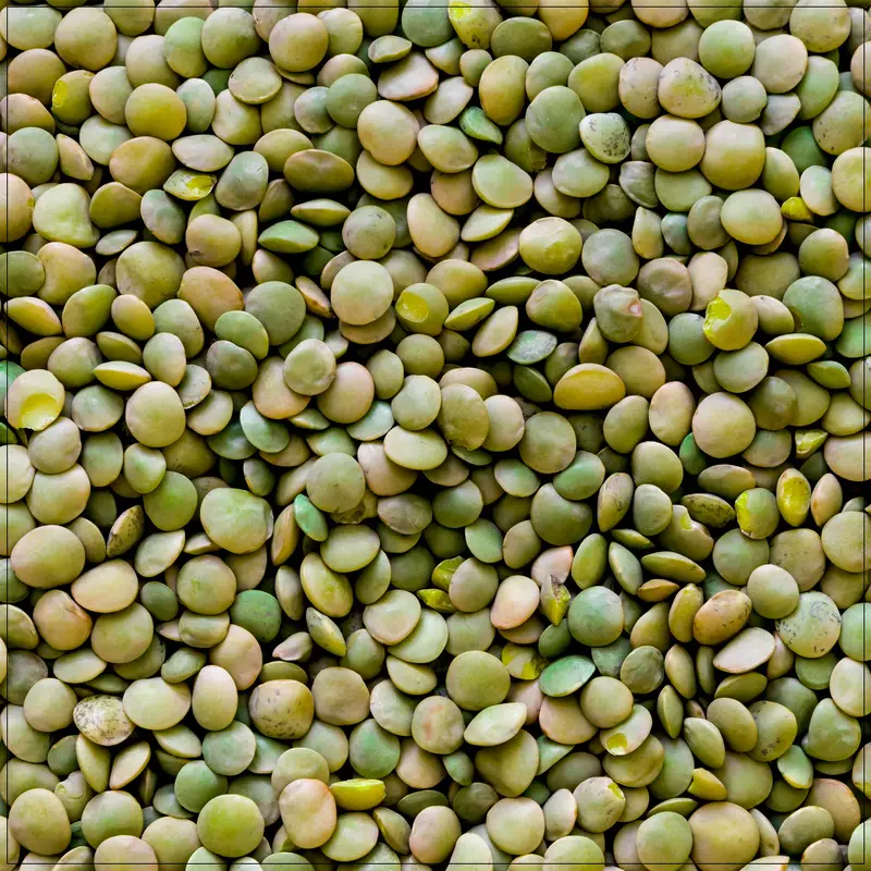 French Green Lentils