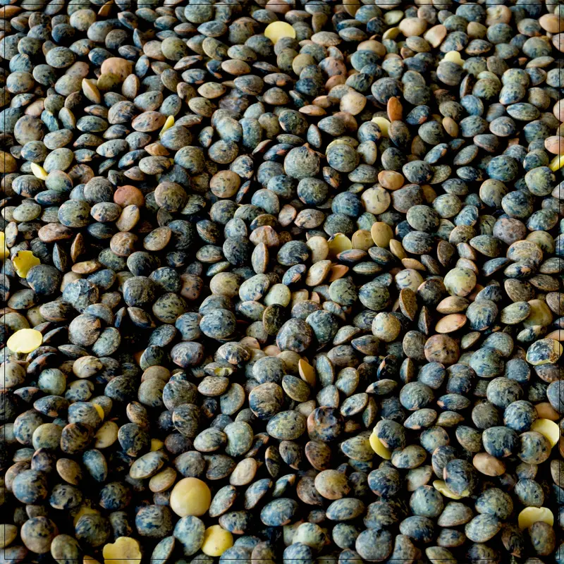 French Lentils