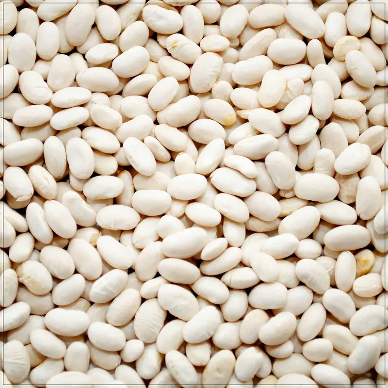 Great Northern Beans