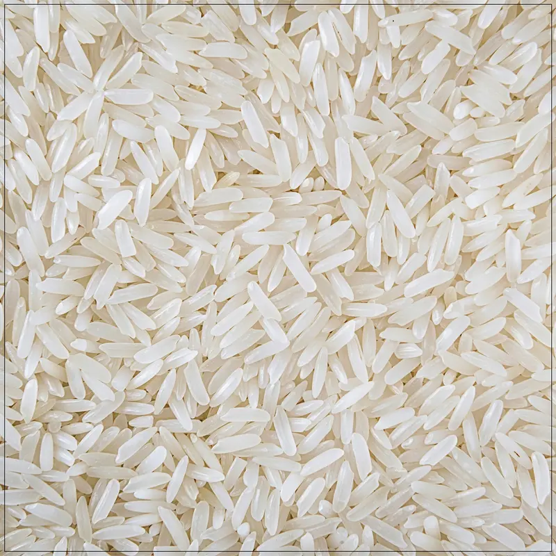 Jasmine Rice