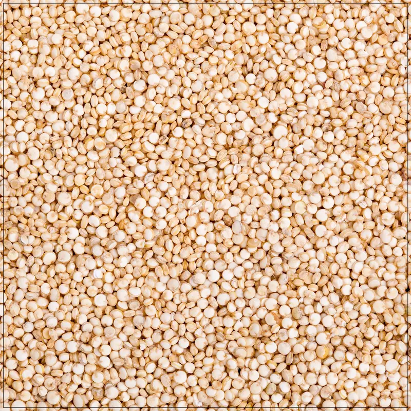Quinoa White