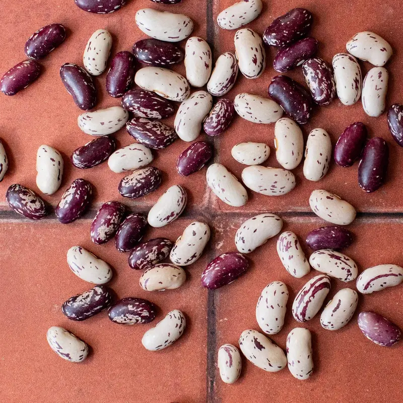 Speckled Bayo Heirloom Beans - Limited Availability