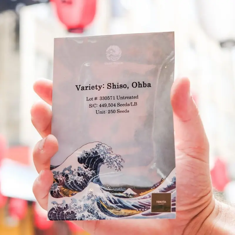 Ohba Shiso seeds -  -  (250 seeds)