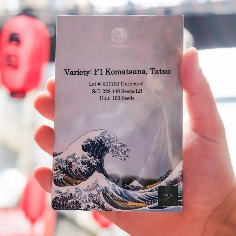 Tatsu Komatsuna seeds -  -  (100 seeds)