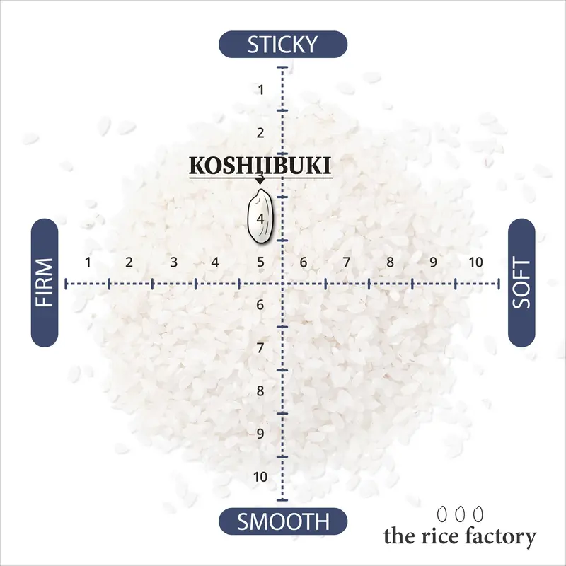 Niigata Koshiibuki - - 2024 Crop